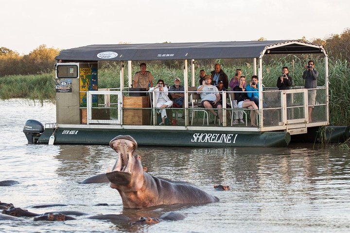 2 hour Hippo & Croc cruise onboard Shoreline boat safaris